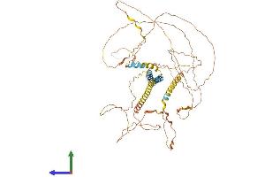 AlphaFold protein structure predicition of Human Recombinant TMEM200C Protein, UniprotID A6NKL6