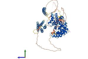 AlphaFold protein structure predicition of Human Recombinant GIT2 Protein, UniprotID Q14161 (GIT2 Protein (AA 1-759) (His tag))