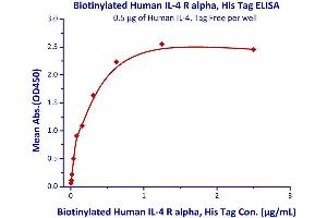 Measured by its binding ability in a functional ELISA.