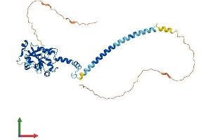 Protein Structure (PS) image for Phosphate Cytidylyltransferase 1, Choline, alpha (PCYT1A) (AA 1-367) protein (His tag) (ABIN7563340)
