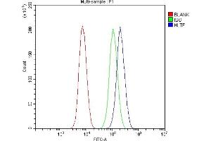 Flow Cytometry analysis of CACO-2 cells using anti-HLTF antibody (ABIN4886619).