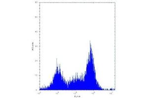 Pak4 antibody flow cytometric analysis of Neuro-2a cells. (PAK4 抗体  (AA 187-216))