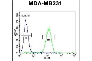 NEU1 Antibody (Center) (ABIN653650 and ABIN2842991) flow cytometric analysis of MDA-M cells (right histogram) compared to a negative control (left histogram). (NEU1 抗体  (AA 11-40))