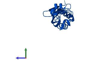 Protein Structure (PS) image for 6-Pyruvoyltetrahydropterin Synthase (PTS) (AA 1-145) protein (His tag) (ABIN7551099)