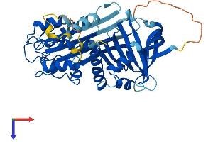 AlphaFold protein structure predicition of Human Recombinant SERPINB11 Protein, UniprotID Q96P15
