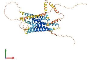 AlphaFold protein structure predicition of Human Recombinant GPR135 Protein, UniprotID Q8IZ08