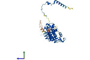 Protein Structure (PS) image for BRF2, Subunit of RNA Polymerase III Transcription Initiation Factor, BRF1-Like (BRF2) (AA 1-419) protein (His tag) (ABIN7552642)