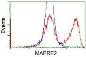 HEK293T cells transfected with either RC200259 overexpress plasmid (Red) or empty vector control plasmid (Blue) were immunostained by anti-MAPRE2 antibody (ABIN2454497), and then analyzed by flow cytometry. (MAPRE2 抗体)
