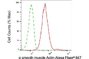 Flow cytometric analysis of α smooth muscle Actin expression in C2C12 cells using α smooth muscle Actin antibody (ABIN7797462), 1:2,000). (Recombinant Smooth Muscle Actin 抗体)