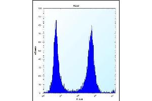 FCN3 Antibody (C-term) (ABIN656492 and ABIN2845769) flow cytometric analysis of K562 cells (right histogram) compared to a negative control cell (left histogram). (FCN3 抗体  (C-Term))