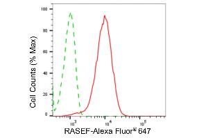 Flow cytometric analysis of RASEF expression in HepG2 cells using RASEF antibody (ABIN7800136), 1:2,000).