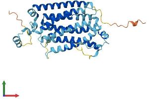 Protein Structure (PS) image for Organic Solute Transporter alpha (OSTALPHA) (AA 1-340) protein (His tag) (ABIN7550563)