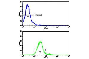 Flow cytometric analysis of NCI-H460 cells using ROR1 polyclonal antibody (bottom histogram) compared to a negative control cell (top histogram). (ROR1 抗体  (N-Term))