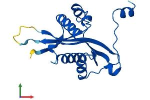AlphaFold protein structure predicition of Human Recombinant SAT2 Protein, UniprotID Q96F10