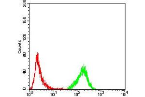 Flow Cytometry (FACS) image for anti-Emerin (EMD) (AA 1-222) antibody (ABIN5864847) (Emerin 抗体  (AA 1-222))