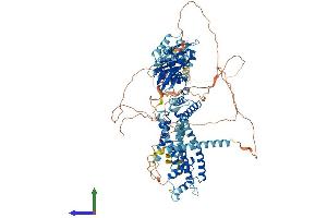 Protein Structure (PS) image for Potassium Voltage-Gated Channel, Subfamily H (Eag-Related), Member 6 (KCNH6) (AA 1-994) protein (His tag) (ABIN7554237)