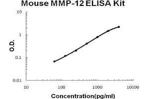 Mouse MMP-12 PicoKine ELISA Kit standard curve (MMP12 ELISA 试剂盒)
