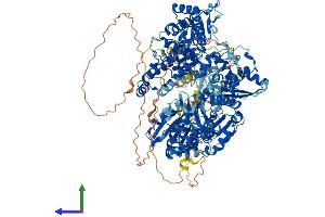 AlphaFold protein structure predicition of Human Recombinant DHX9 Protein, UniprotID Q08211