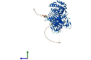 Protein Structure (PS) image for Cap Methyltransferase 1 (CMTR1) (AA 1-835) protein (His tag) (ABIN7553475)