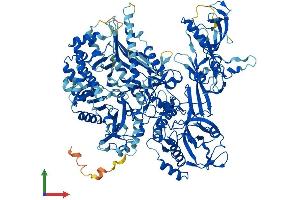 Protein Structure (PS) image for Polymerase (RNA) III (DNA Directed) Polypeptide B (POLR3B) (AA 1-1133) protein (His tag) (ABIN7555251)