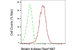 Flow cytometric analysis of Striatin 4 expression in HAP-1 cells using Striatin 4 antibody (ABIN7800444), 1:2,000). (Recombinant STRN4 抗体)