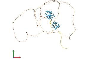 Protein Structure (PS) image for serine/arginine-Rich Splicing Factor 4 (SRSF4) (AA 1-494) protein (His tag) (ABIN7546316)