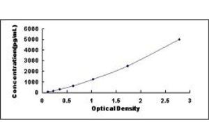 Typical standard curve (Claudin 9 ELISA 试剂盒)