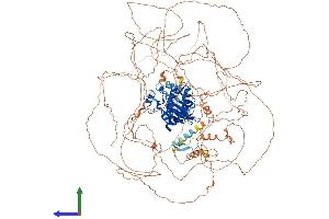 Protein Structure (PS) image for Mitogen-Activated Protein Kinase Kinase Kinase 19 (MAP3K19) (AA 1-1311) protein (His tag) (ABIN7562124)