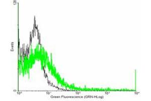 Flow Cytometry (FACS) image for anti-HLA Class I Histocompatibility Antigen, alpha Chain E (HLA-E) (AA 1-358) antibody (ABIN516523)