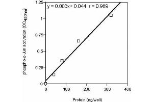 TransAM® standard curve generated using Recombinant c-Jun protein. (C-JUN Protein (full length) (His tag))