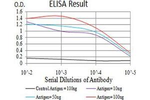 Black line: Control Antigen (100 ng);Purple line: Antigen (10ng); Blue line: Antigen (50 ng); Red line:Antigen (100 ng) (MUC5AC 抗体  (AA 5528-5627))