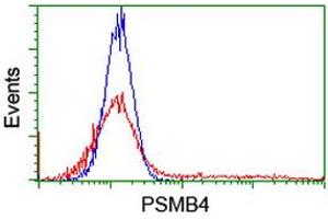 HEK293T cells transfected with either RC205723 overexpress plasmid (Red) or empty vector control plasmid (Blue) were immunostained by anti-PSMB4 antibody (ABIN2455091), and then analyzed by flow cytometry. (PSMB4 抗体)