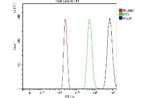 Flow Cytometry analysis of HL-60 cells using anti-Pleckstrin/PLEK antibody (ABIN7601814).