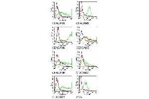 Specificity testing of 26/3/13. (CEACAM5 抗体)