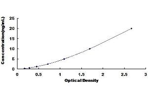 Typical Standard Curve for Human PRSS23 ELISA. (PRSS23 ELISA 试剂盒)