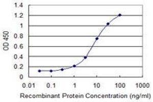 Detection limit for recombinant GST tagged RPN1 is 0. (RPN1 抗体  (AA 24-607))