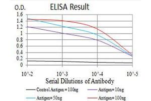 ELISA image for anti-Potassium Intermediate/small Conductance Calcium-Activated Channel, Subfamily N, Member 2 (KCNN2) (AA 36-52) antibody (ABIN5542523)