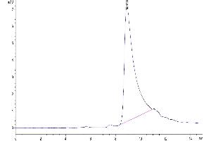 The purity of Human APOA2 is greater than 95 % as determined by SEC-HPLC.