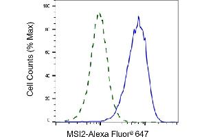 Validation of MSI2 knockdown using flow cytometry.