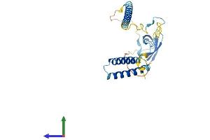 Protein Structure (PS) image for Survival Motor Neuron Domain Containing 1 (SMNDC1) (AA 1-238) protein (His tag) (ABIN7558583)