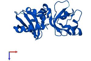 MCTS1 Protein (AA 1-181) (His tag)