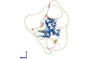 AlphaFold protein structure predicition of Human Recombinant TBC1D12 Protein, UniprotID O60347