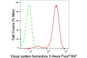 Flow cytometric analysis of Visual system homeobox 2 expression in HepG2 cells using Visual system homeobox 2 antibody (ABIN7800843), 1:2,000). (Recombinant VSX2 抗体)
