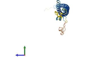 Protein Structure (PS) image for Synaptosomal-Associated Protein, 23kDa (SNAP23) (AA 1-210) protein (His tag) (ABIN7562242)