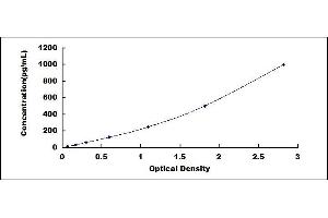 Typical standard curve (VEGFD ELISA 试剂盒)