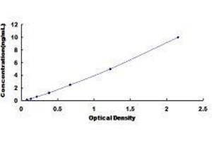 ELISA image for Solute Carrier Family 7 (Neutral Amino Acid Transporter Light Chain, Asc System), Member 10 (SLC7A10) ELISA Kit (ABIN420035)
