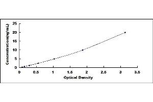 Typical standard curve (PKM2 ELISA 试剂盒)