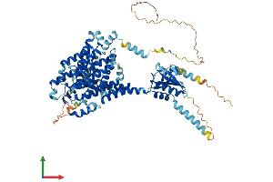Protein Structure (PS) image for Solute Carrier Family 26 (Sulfate Transporter), Member 2 (SLC26A2) (AA 1-739) protein (His tag) (ABIN7555325)