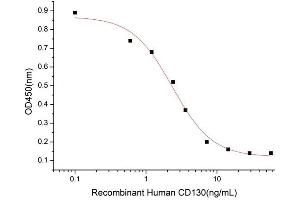 Activity Assay (AcA) image for Interleukin 6 Signal Transducer (Gp130, Oncostatin M Receptor) (IL6ST) (AA 23-618) (Active) protein (His-Fc tag) (ABIN7607439)