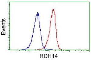 Image no. 1 for anti-Retinol Dehydrogenase 14 (All-Trans/9-Cis/11-Cis) (RDH14) antibody (ABIN1500656)